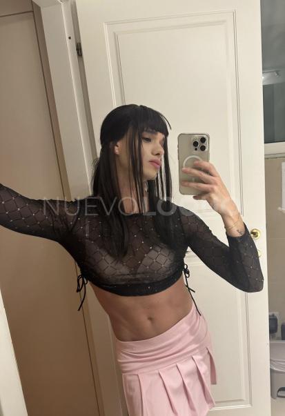 NuevoLoquo3