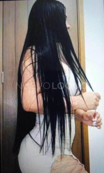 NuevoLoquo2