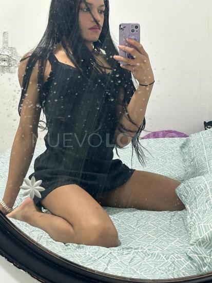 NuevoLoquo2