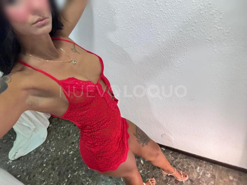 NuevoLoquo3