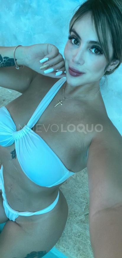 NuevoLoquo3
