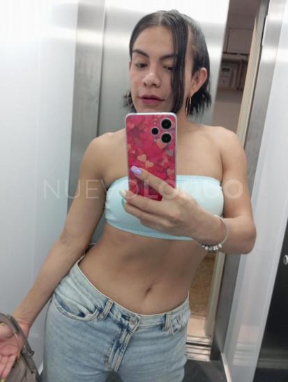 NuevoLoquo4