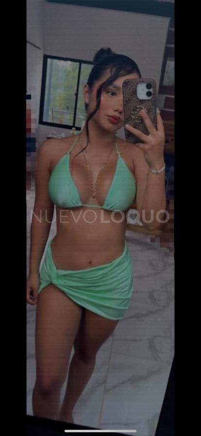 NuevoLoquo2