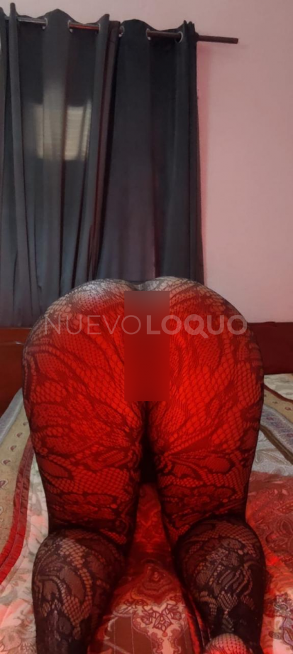 NuevoLoquo0