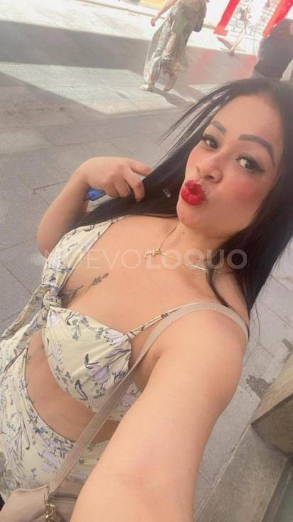 NuevoLoquo2