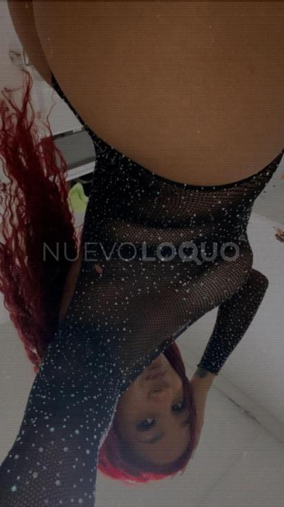 NuevoLoquo5