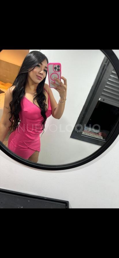 NuevoLoquo1