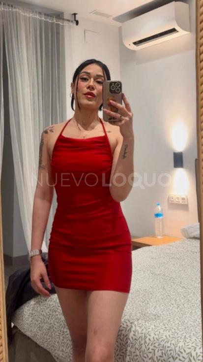 NuevoLoquo5