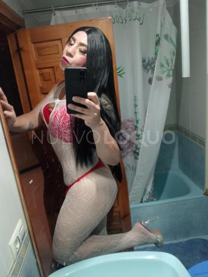 NuevoLoquo1