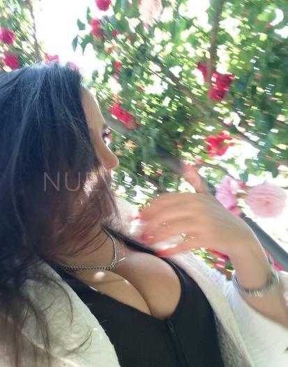 NuevoLoquo2
