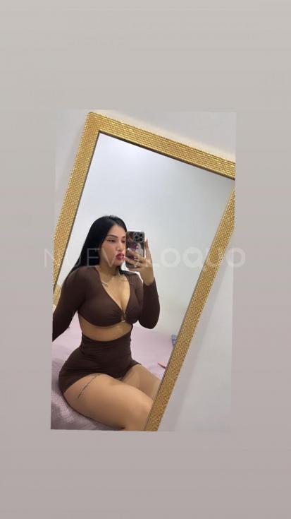 NuevoLoquo2