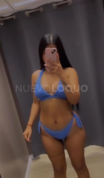 NuevoLoquo2