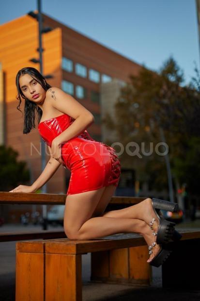 NuevoLoquo2