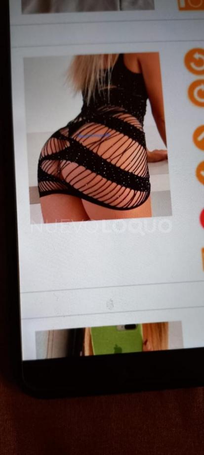 NuevoLoquo1