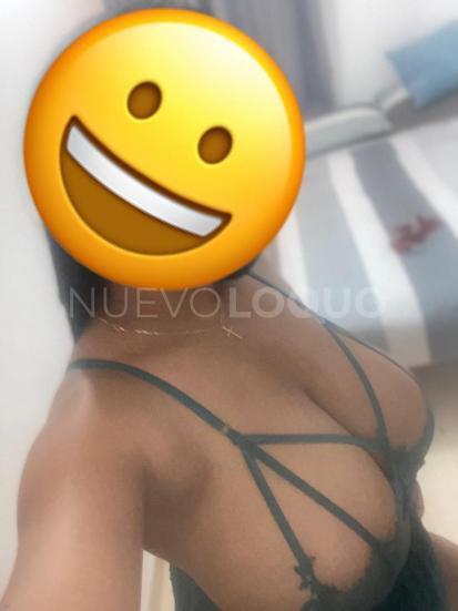 NuevoLoquo2