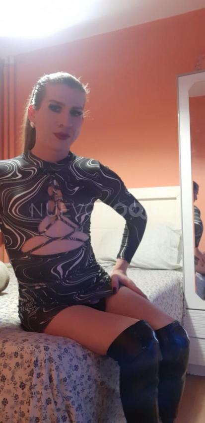 NuevoLoquo3