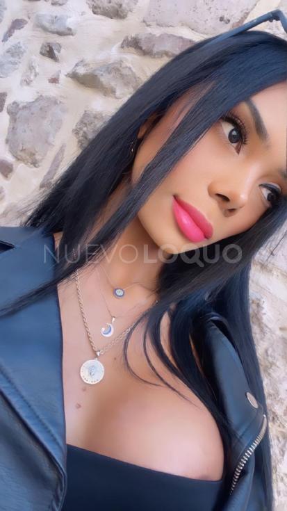 NuevoLoquo3