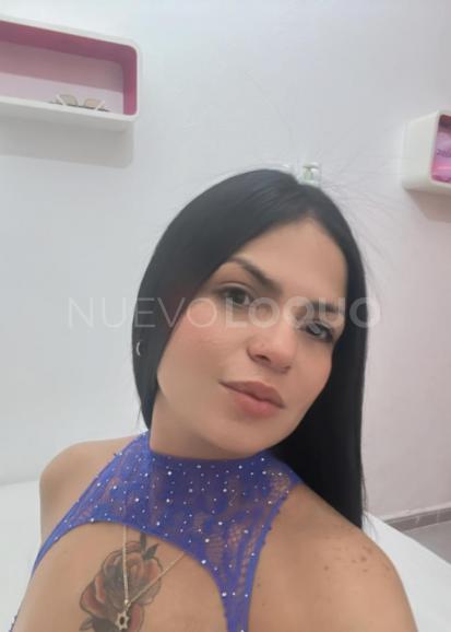 NuevoLoquo2