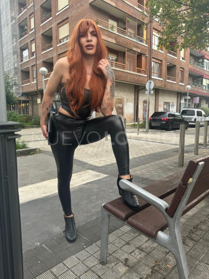 NuevoLoquo3