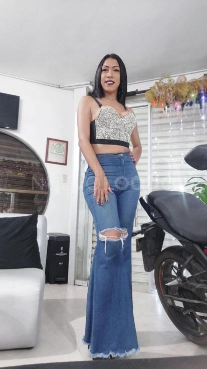 NuevoLoquo2