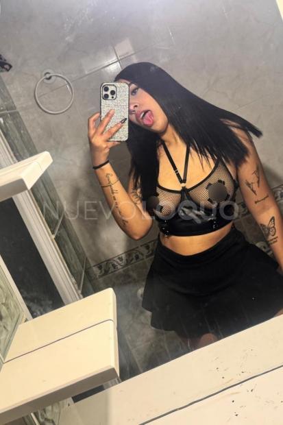 NuevoLoquo1