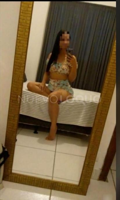 NuevoLoquo3
