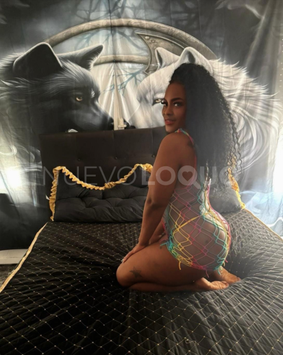 NuevoLoquo2