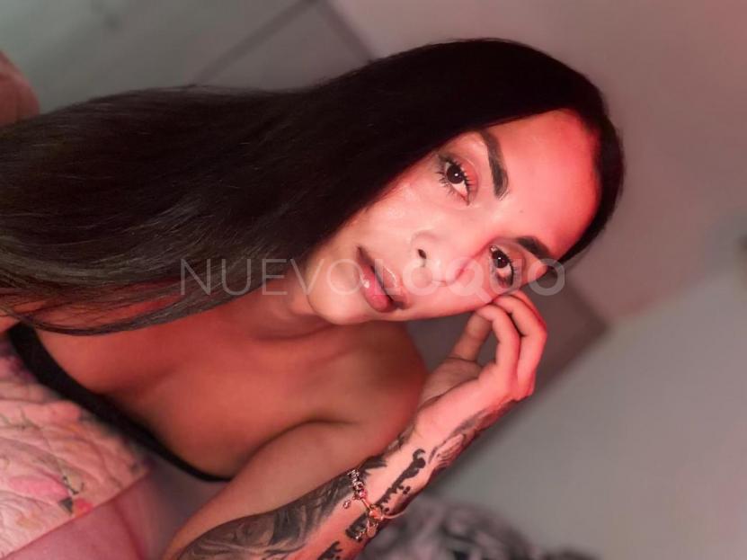 NuevoLoquo3