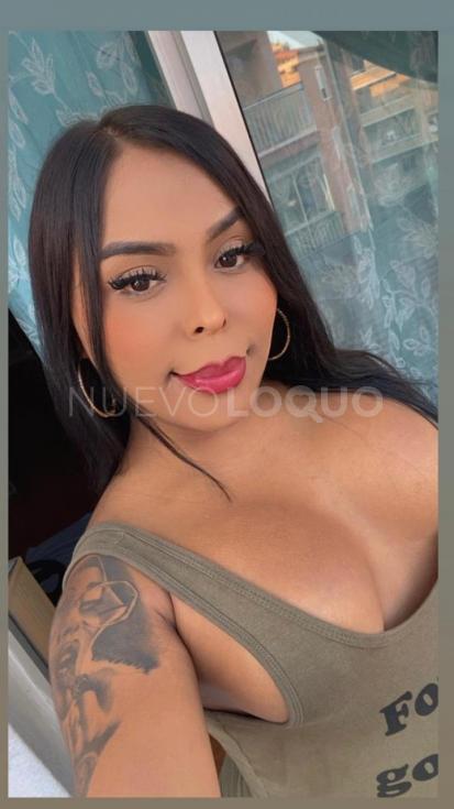 NuevoLoquo3