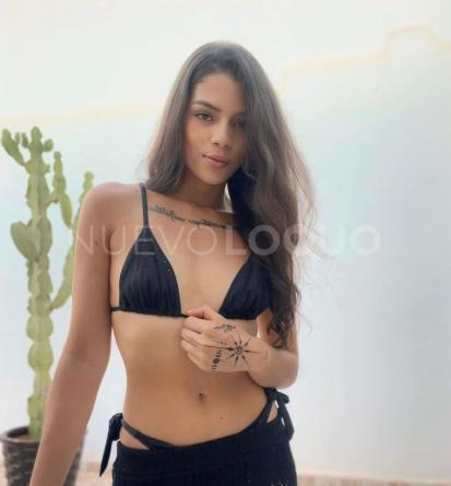 NuevoLoquo4