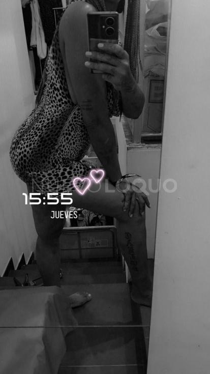 NuevoLoquo2