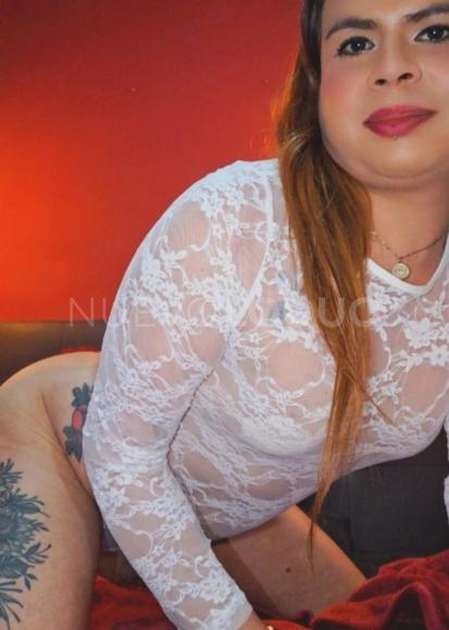  COMO DE VITRINA TRANS LATINA