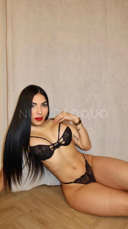 NuevoLoquo4