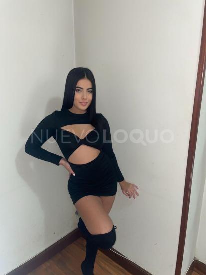 NuevoLoquo3