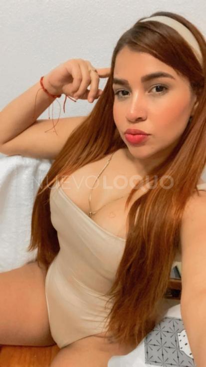 NuevoLoquo2