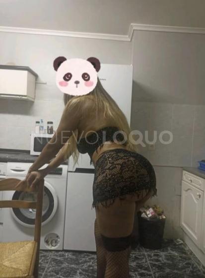 NuevoLoquo4