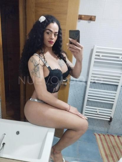 NuevoLoquo1