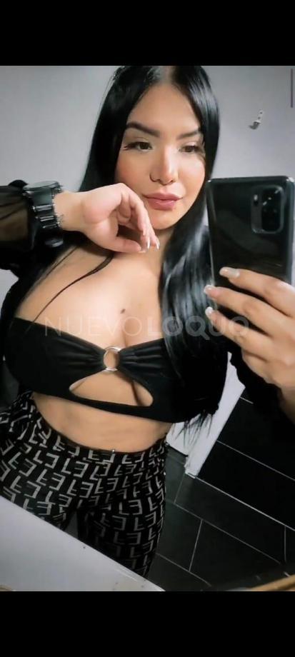 NuevoLoquo3