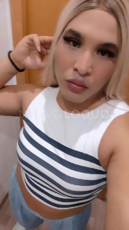 NuevoLoquo3