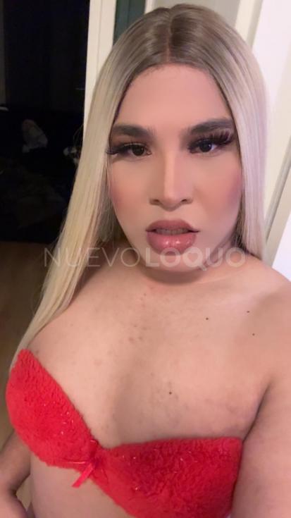 NuevoLoquo4