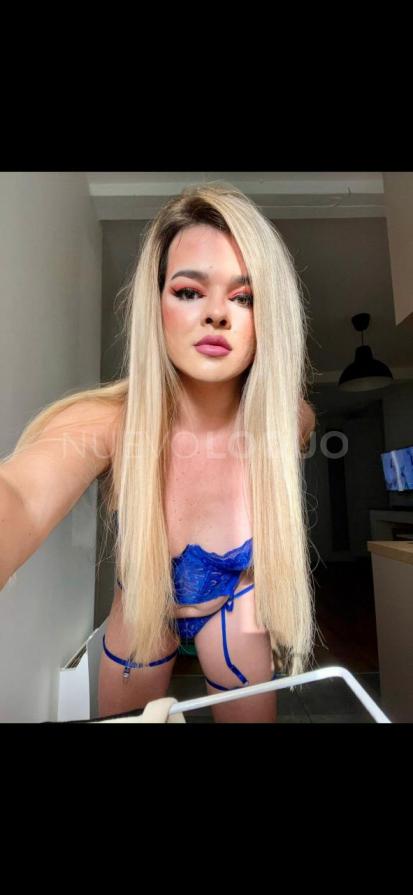 NuevoLoquo3