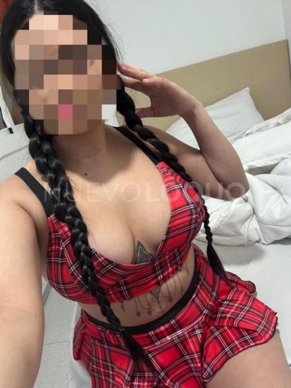NuevoLoquo3