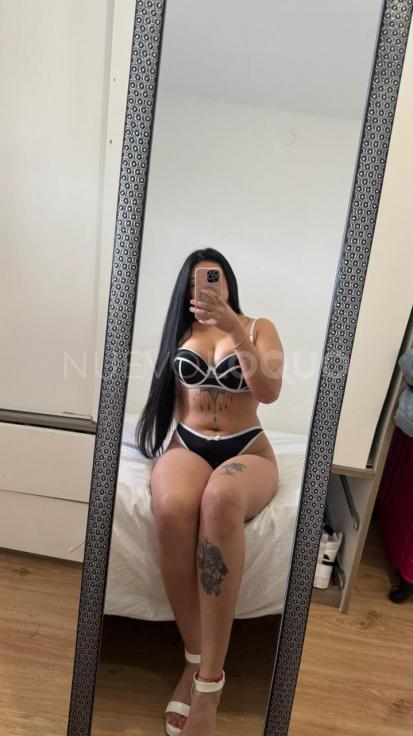 NuevoLoquo3