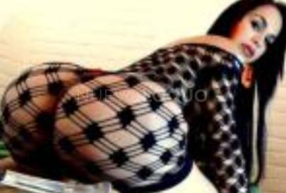 NuevoLoquo5