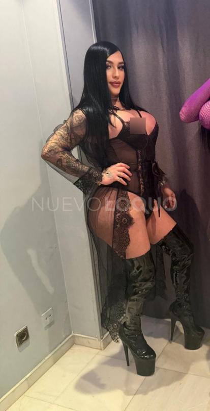 NuevoLoquo3