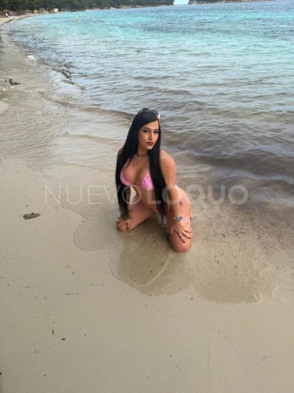 NuevoLoquo2