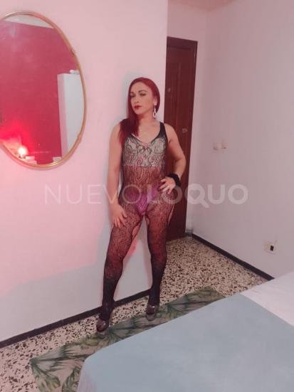 NuevoLoquo2