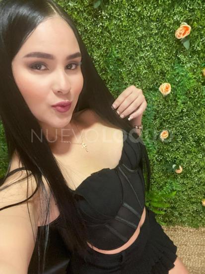 NuevoLoquo3