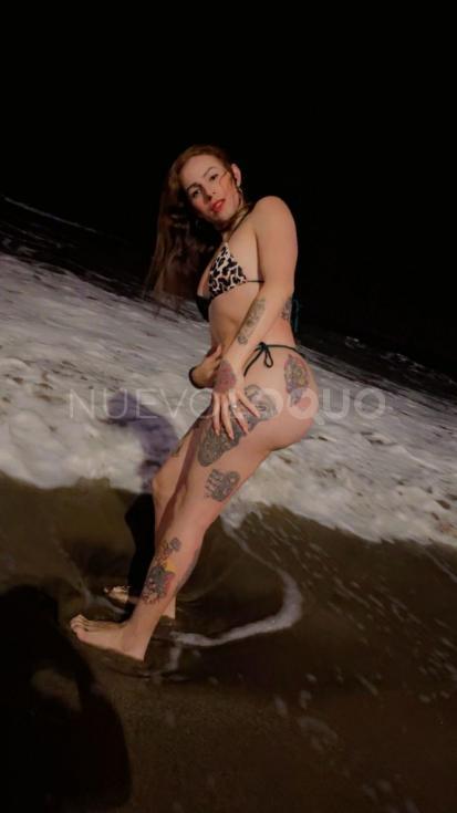NuevoLoquo3