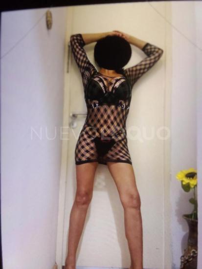 NuevoLoquo2